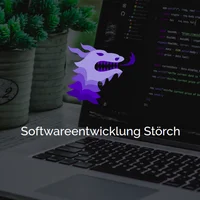 Softwareentwicklung Störch