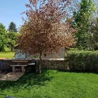 AKKORD Garten- und Landschaftsbau GmbH