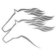 Motorradhaus StuteHengst GmbH